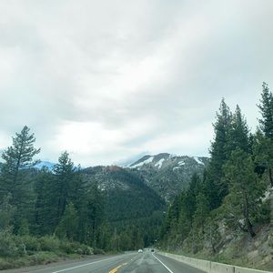 Meet your Posher, Maya